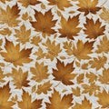 Seamless background leaves, yellow, golden, autumn, maple. Seamless styling of both Royalty Free Stock Photo