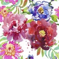 Seamless background. drawing exotic flowers. watercolor illustration. Royalty Free Stock Photo