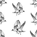 Seamless background of drawn flying big seagulls in sky, isolated on white vector sketches