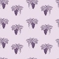 Seamless background of drawn vine with ripe grape bunches and leaves Royalty Free Stock Photo