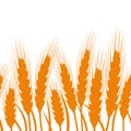 Seamless background with ears of wheat. Vector illustration Royalty Free Stock Photo
