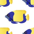 Seamless background, Exotic Fish emperor angelfish. In minimalist style. Cartoon flat vector Royalty Free Stock Photo