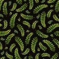 Seamless background with fern on the black background. Suitable for typography, cards, banners and textiles.