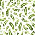 Seamless background with fern on the white background.Suitable for typography, cards, banners and textiles.