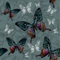 Seamless background with flowers and colorful butterflies, hand-drawing. Vector illustration..eps Royalty Free Stock Photo