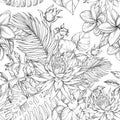 Seamless background of flowers frangipani, palm branch and tropical flowers, hand drawing illustration. Black and white Royalty Free Stock Photo