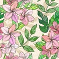 Seamless background of flowers frangipani, plumeria tropical flower, hand drawing illustration, Vector illustration. Royalty Free Stock Photo