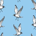 Seamless background of flying sea gull sketches Royalty Free Stock Photo