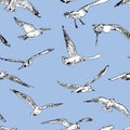 Seamless background of the flying seagulls Royalty Free Stock Photo