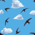 Seamless background with flying swifts in the sky