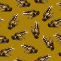 Seamless frog pattern