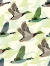 Seamless background with geese and ducks