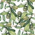 Seamless background with green olive branches Royalty Free Stock Photo