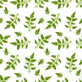 Seamless background of green tomato leaves