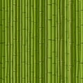 Seamless background of green wall bamboo. Royalty Free Stock Photo