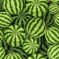 Seamless background with green watermelons. Vector illustration. Royalty Free Stock Photo