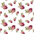 Seamless pattern with Hand drawn pink dragonfruit