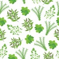 Seamless background of Herbs illustration with basil, sage, rosemary, and parsley on white background