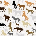 Seamless background with horse silhouettes Royalty Free Stock Photo