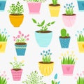 Seamless background with houseplants, flowers in pots