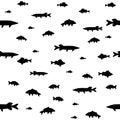 Seamless background of lake fish