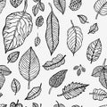 Seamless background with leaves