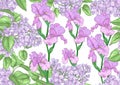 Seamless background with lilac and iris flowers. Vector illustration Royalty Free Stock Photo