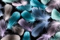 Seamless background with multicolored soft plumes isolated on black.