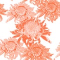 Seamless background with orange Japanese chrysanthemums and ornament on white backdrop. Royalty Free Stock Photo