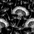 Seamless background with overblown dandelion Royalty Free Stock Photo