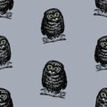 Seamless background of an owlets sitting on tree branches Royalty Free Stock Photo