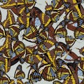 Seamless background with a pattern of butterflies. Aglais io, Parnassius apollo, Acherontia atropos, Papilio machaon