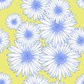 Seamless background pattern with chamomile flowers, flat lay Royalty Free Stock Photo