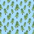 Seamless pattern with fir trees Royalty Free Stock Photo