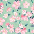 Seamless background pattern of pink Sakura blossom or Japanese flowering cherry symbolic of Spring  suitable for textile, wrapping Royalty Free Stock Photo