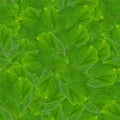 Seamless background pattern texture made of geranium leaves Royalty Free Stock Photo