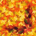 Seamless background pattern texture made of maple leaves Royalty Free Stock Photo