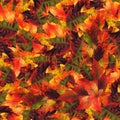Seamless background pattern texture made of maple leaves Royalty Free Stock Photo