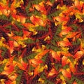 Seamless background pattern texture made of maple leaves Royalty Free Stock Photo