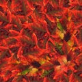 Seamless background pattern texture made of maple leaves Royalty Free Stock Photo