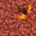 Seamless background pattern texture made of maple leaves Royalty Free Stock Photo