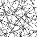 Seamless background of pieces of barbed wire Royalty Free Stock Photo