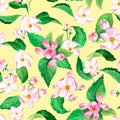 Seamless background with pink apple flowers and leavescherry blossom. Watercolor