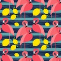 Seamless background. Pink Flamingo on a tropical background. Royalty Free Stock Photo