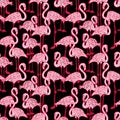 Seamless background of the pink flamingos