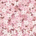 Seamless background with pink lilac flowers. Vector illustration.
