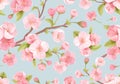 Seamless background of pink Sakura blossom or Japanese flowering cherry. Spring flowers, leaves pattern Royalty Free Stock Photo