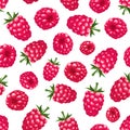 Seamless background with raspberry. Vector illustration.