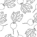 Seamless Background of Ripe Beets. Endless Pattern of Beetroot with Top Leaves. Fresh Vegetable Salad. Hand Drawn Vector Illustrat Royalty Free Stock Photo