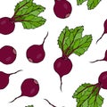 Seamless Background of Ripe Beets. Endless Pattern of Beetroot with Top Leaves. Fresh Vegetable Salad. Hand Drawn Vector Illustrat Royalty Free Stock Photo